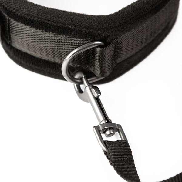 Take the Lead Padded Neck Collar and Leash