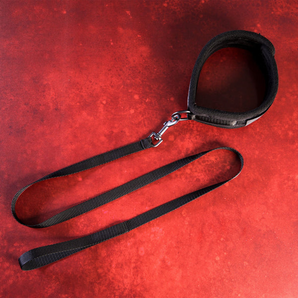 Take the Lead Padded Neck Collar and Leash