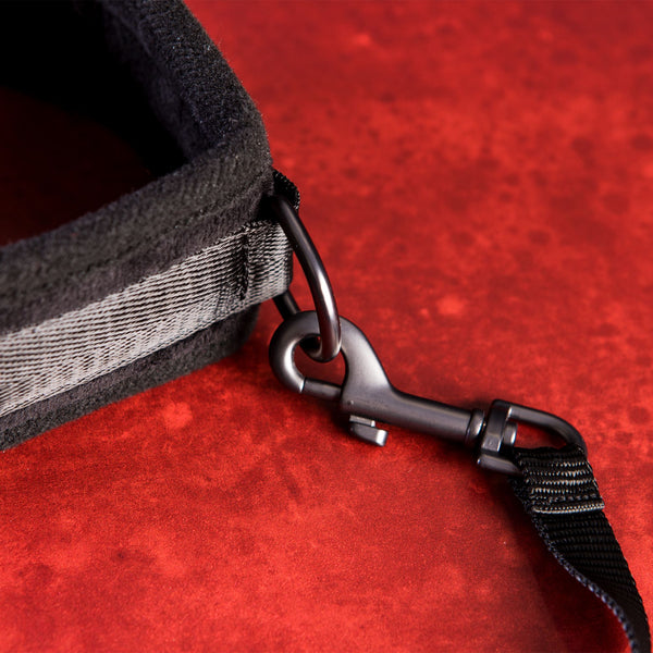 Take the Lead Padded Neck Collar and Leash