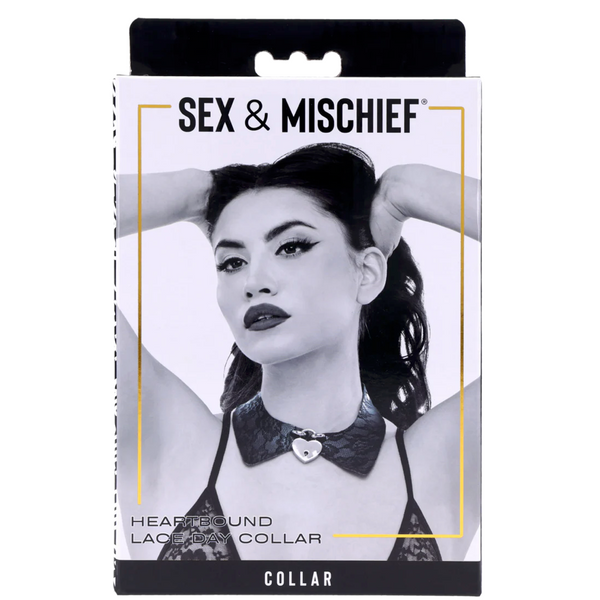 Sex & Mischief: Lace Collection Heartbound Lace Day Collar