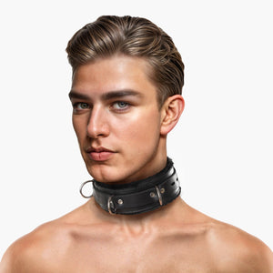 Leather Premium Fur Lined Locking Collar