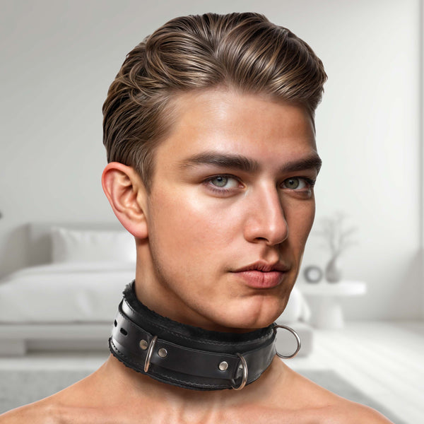 Leather Premium Fur Lined Locking Collar
