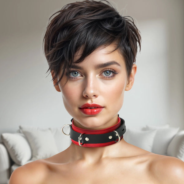 Leather Deluxe Red and Black Locking Collar