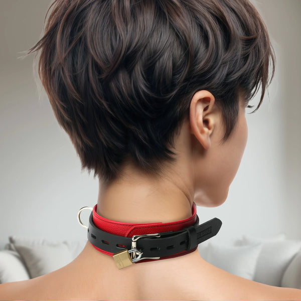 Leather Deluxe Red and Black Locking Collar