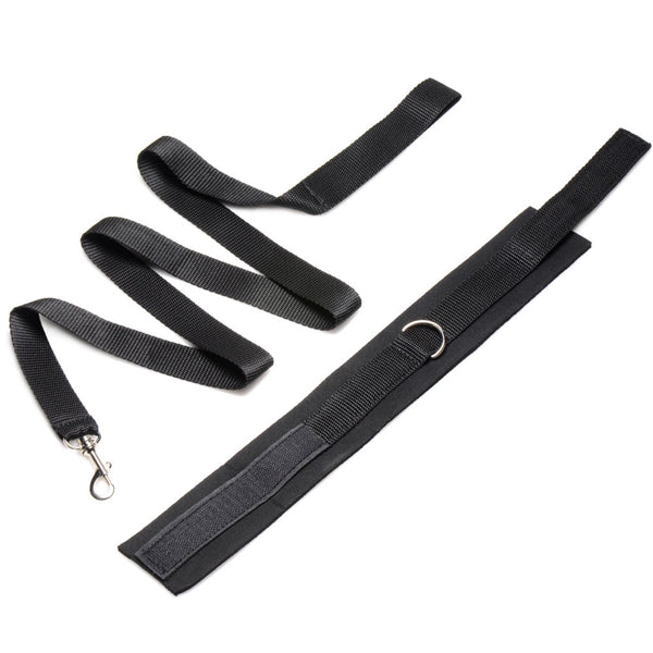 46" Leash & Collar Set