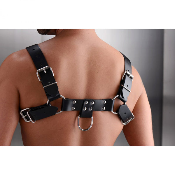 STRICT LEATHER English Bull Dog Harness - Extreme Toyz Singapore - https://extremetoyz.com.sg - Sex Toys and Lingerie Online Store - Bondage Gear / Vibrators / Electrosex Toys / Wireless Remote Control Vibes / Sexy Lingerie and Role Play / BDSM / Dungeon Furnitures / Dildos and Strap Ons  / Anal and Prostate Massagers / Anal Douche and Cleaning Aide / Delay Sprays and Gels / Lubricants and more...