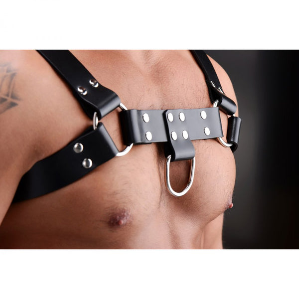 STRICT LEATHER English Bull Dog Harness - Extreme Toyz Singapore - https://extremetoyz.com.sg - Sex Toys and Lingerie Online Store - Bondage Gear / Vibrators / Electrosex Toys / Wireless Remote Control Vibes / Sexy Lingerie and Role Play / BDSM / Dungeon Furnitures / Dildos and Strap Ons  / Anal and Prostate Massagers / Anal Douche and Cleaning Aide / Delay Sprays and Gels / Lubricants and more...
