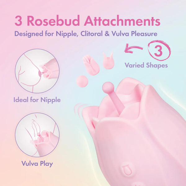 Play With Me Romantic Rose Rechargeable Vibrator With Rosebud Attachment Heads