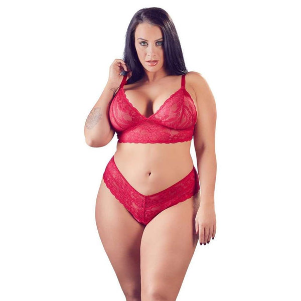 Cottelli Collection Plus Size Lace Bra And Crotchless Brief (4 Sizes Available) - Extreme Toyz Singapore - https://extremetoyz.com.sg - Sex Toys and Lingerie Online Store