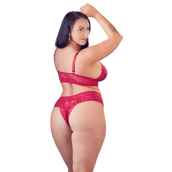 Cottelli Collection Plus Size Lace Bra And Crotchless Brief (4 Sizes Available) - Extreme Toyz Singapore - https://extremetoyz.com.sg - Sex Toys and Lingerie Online Store