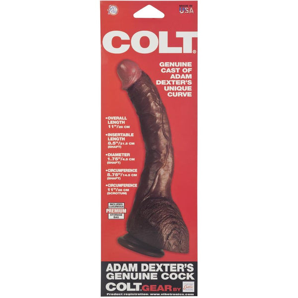 CalExotics COLT® Adam Dexter's Genuine Cock - Extreme Toyz Singapore - https://extremetoyz.com.sg - Sex Toys and Lingerie Online Store