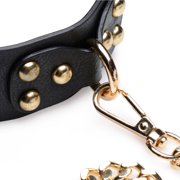 Master Series Gold Submission Bondage Kit - Extreme Toyz Singapore - https://extremetoyz.com.sg - Sex Toys and Lingerie Online Store