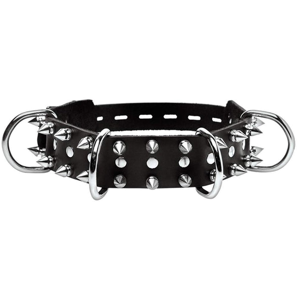 Strict Leather Spiked Dog Collar