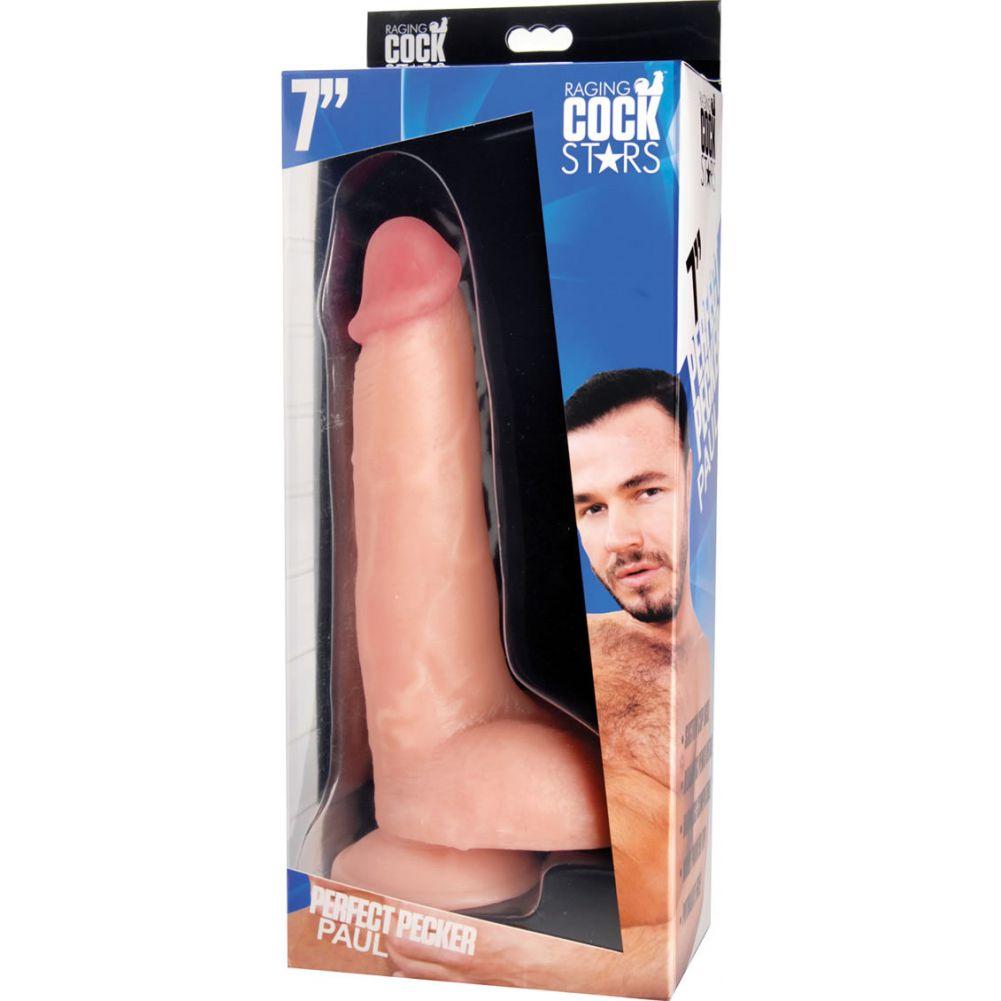 Raging Cockstars Perfect Pecker Paul 7" Realistic Dildo  - Extreme Toyz Singapore - https://extremetoyz.com.sg - Sex Toys and Lingerie Online Store - Bondage Gear / Vibrators / Electrosex Toys / Wireless Remote Control Vibes / Sexy Lingerie and Role Play / BDSM / Dungeon Furnitures / Dildos and Strap Ons  / Anal and Prostate Massagers / Anal Douche and Cleaning Aide / Delay Sprays and Gels / Lubricants and more...