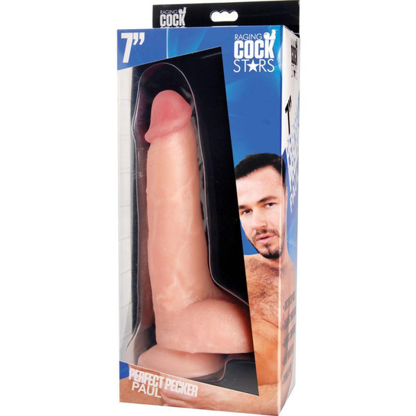 Raging Cockstars Perfect Pecker Paul 7" Realistic Dildo  - Extreme Toyz Singapore - https://extremetoyz.com.sg - Sex Toys and Lingerie Online Store - Bondage Gear / Vibrators / Electrosex Toys / Wireless Remote Control Vibes / Sexy Lingerie and Role Play / BDSM / Dungeon Furnitures / Dildos and Strap Ons  / Anal and Prostate Massagers / Anal Douche and Cleaning Aide / Delay Sprays and Gels / Lubricants and more...