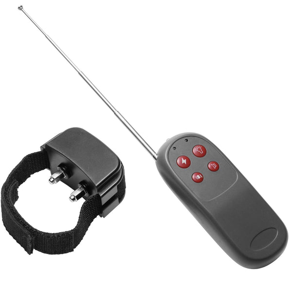 Master Series Cock Shock Remote CBT Electric Cock Ring - Extreme Toyz Singapore - https://extremetoyz.com.sg - Sex Toys and Lingerie Online Store