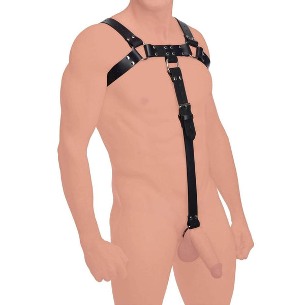 Strict Leather English Bull Dog Leather Harness with Cock Strap Extreme Toyz Singapore