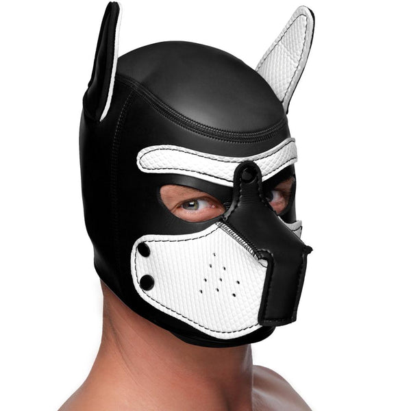 Master Series Spike Neoprene Puppy Hood (4 Colours Available) - Extreme Toyz Singapore - https://extremetoyz.com.sg - Sex Toys and Lingerie Online Store