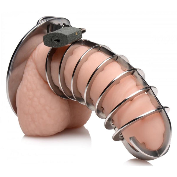 Master Series Stainless Steel Spiked Chastity Cage - Extreme Toyz Singapore - https://extremetoyz.com.sg - Sex Toys and Lingerie Online Store