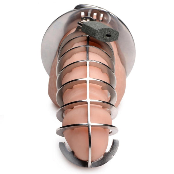 Master Series Stainless Steel Spiked Chastity Cage - Extreme Toyz Singapore - https://extremetoyz.com.sg - Sex Toys and Lingerie Online Store