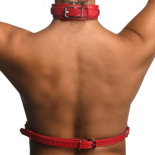 STRICT Red Female Chest Harness (2 Sizes Available) - Extreme Toyz Singapore - https://extremetoyz.com.sg - Sex Toys and Lingerie Online Store