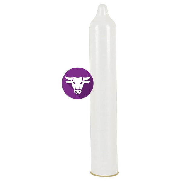 Secura Kondome El Toro Performance Ring Condoms - 12/24/100 Pack - Extreme Toyz Singapore - https://extremetoyz.com.sg - Sex Toys and Lingerie Online Store