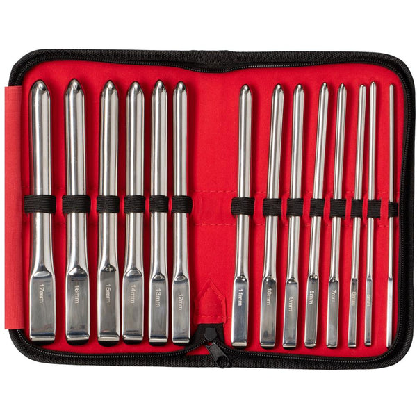 ROUGE Hegar 14 Piece Stainless Steel Uterine Dilator Set - Extreme Toyz Singapore - https://extremetoyz.com.sg - Sex Toys and Lingerie Online Store
