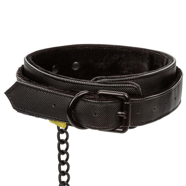 CalExotics Boundless Collar with Leash - Extreme Toyz Singapore - https://extremetoyz.com.sg - Sex Toys and Lingerie Online Store