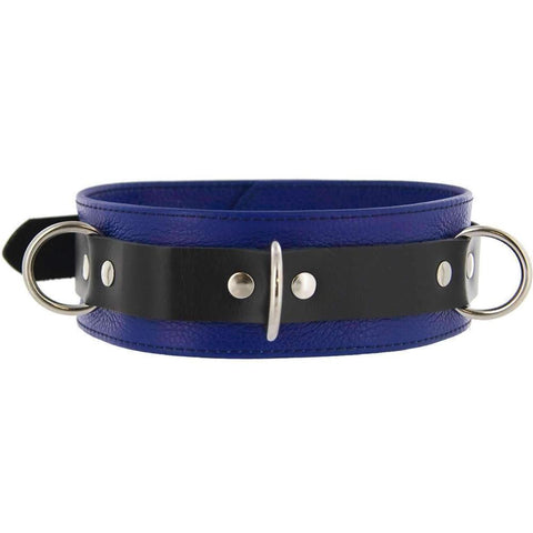 Strict Leather Blue and Black Deluxe Locking Collar Extreme Toyz Singapore