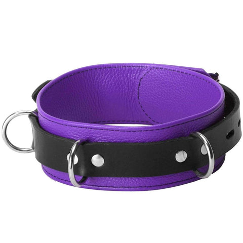 Strict Leather Purple and Black Deluxe Locking Collar  Extreme Toyz Singapore