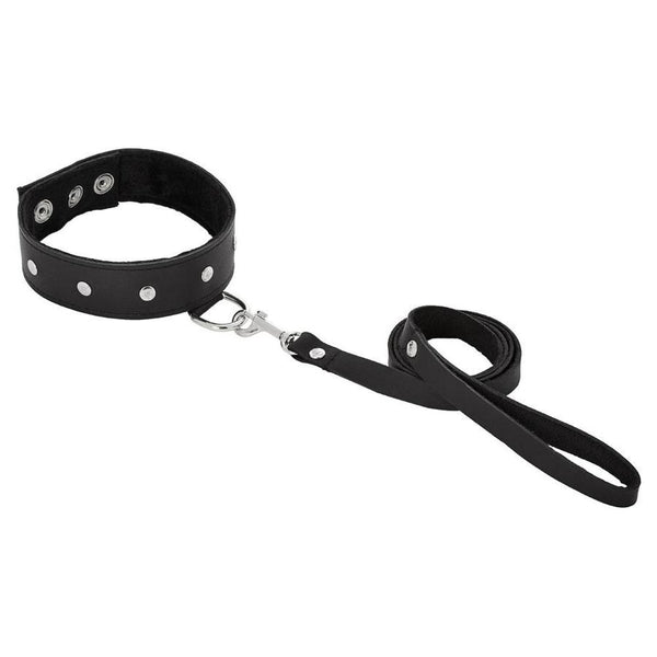 Sportsheets Leather Leash & Collar - Extreme Toyz Singapore - https://extremetoyz.com.sg - Sex Toys and Lingerie Online Store