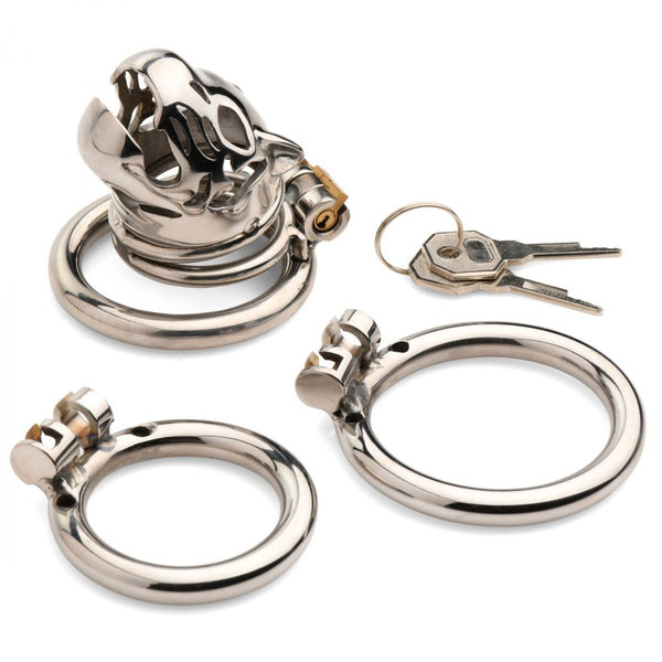 Master Series Caged Cougar Locking Chastity Cage - Extreme Toyz Singapore - https://extremetoyz.com.sg - Sex Toys and Lingerie Online Store - Bondage Gear / Vibrators / Electrosex Toys / Wireless Remote Control Vibes / Sexy Lingerie and Role Play / BDSM / Dungeon Furnitures / Dildos and Strap Ons  / Anal and Prostate Massagers / Anal Douche and Cleaning Aide / Delay Sprays and Gels / Lubricants and more...